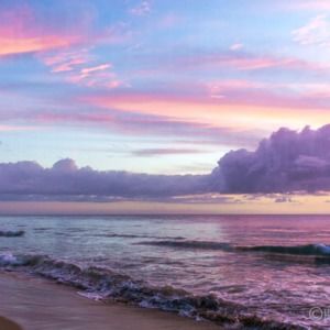 Meet your Posher, Robin